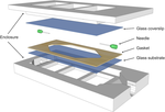 PNNL: White Light Inteferometry for Biofilms